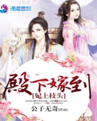 妃上枝头:殿下嫁到 妃上枝头:殿下嫁到