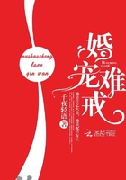 婚宠难戒 婚宠难戒