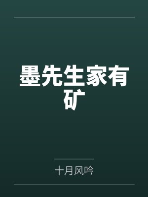 墨先生家有矿