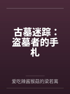 古墓迷踪:盗墓者的手札 古墓迷踪:盗墓者的手札